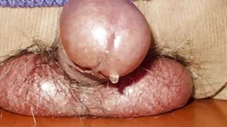 Prietena în ciorapi de dama analsex devine tras de sex cu brazilience prietenul ei