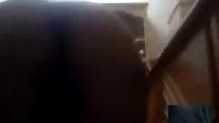 Blonda printesa fututa de tip clar filme xxx in familie